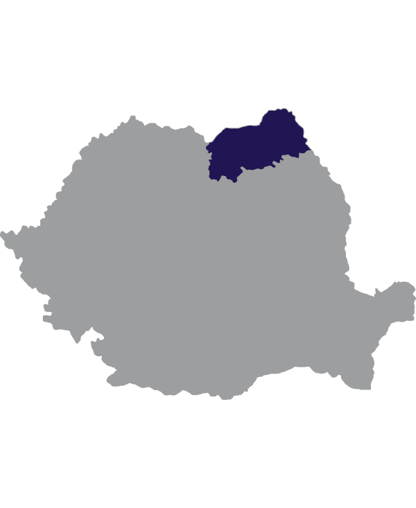 Landkaart Roemenië grijs met regio Boekovina donkerblauw op transparante achtergrond - 600 * 733 pixels